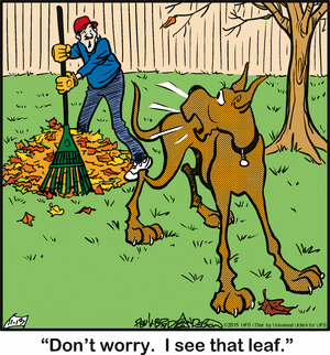 marmaduke